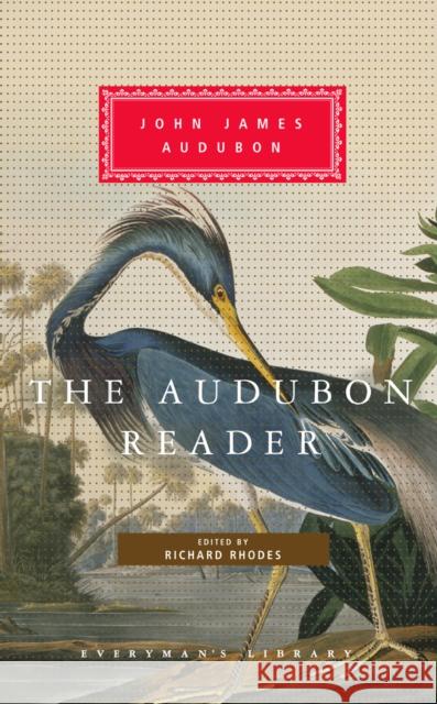 The Audubon Reader John James Audubon 9781857152845 Everyman - książka