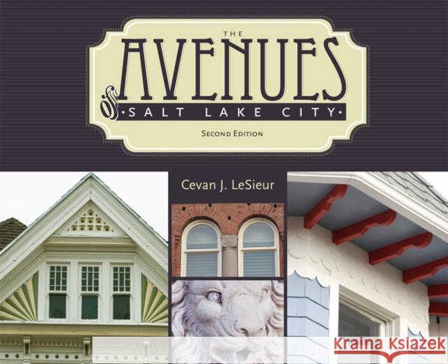 The Avenues of Salt Lake City Karl T. Haglund Philip F. Notarianni Cevan J. Lesieur 9781607811817 University of Utah Press - książka