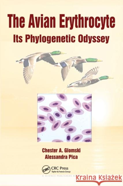 The Avian Erythrocyte: Its Phylogenetic Odyssey Chester A. Glomski Alessandra Pica  9780367452247 CRC Press - książka