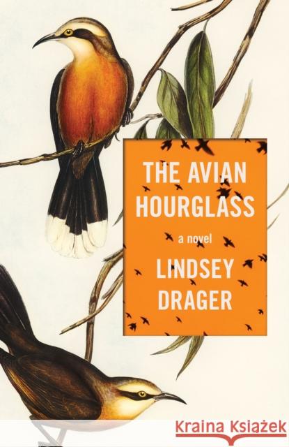 The Avian Hourglass Lindsey Drager 9781950539970 Dzanc Books - książka