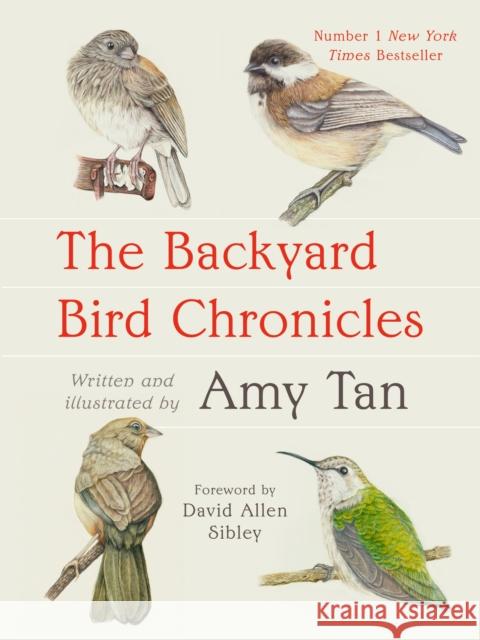 The Backyard Bird Chronicles Tan, Amy 9781472160577 Little, Brown Book Group - książka
