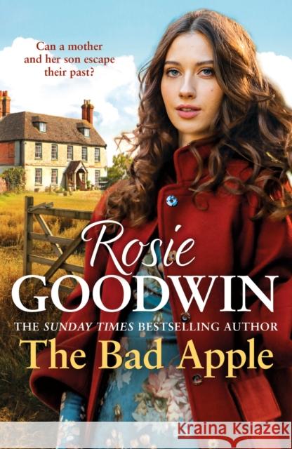 The Bad Apple: A powerful saga of surviving and loving against the odds  9781035403165 Headline Publishing Group - książka