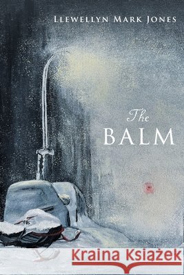 The Balm Jones, Llewellyn Mark 9781038366474 FriesenPress - książka