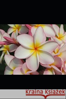 The Bank Family: With Warmth and Happiness Kevin Elkington 9798325875946 Independently Published - książka