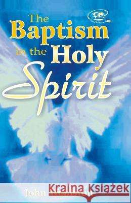 The Baptism in the Holy Spirit John Woolston 9781494312817 Createspace - książka