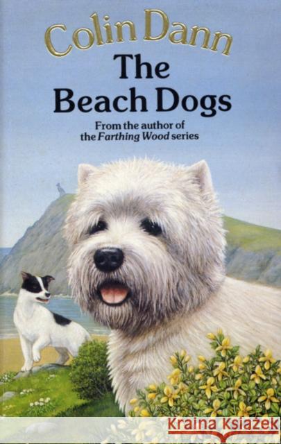 The Beach Dogs Colin Dann 9780099613800 Random House Children's Publishers UK - książka