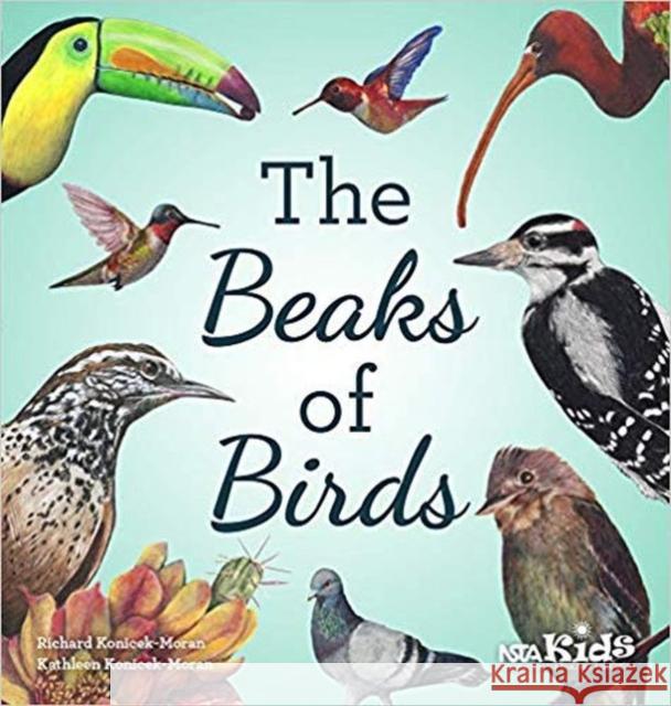 The Beaks of Birds Richard Konicek-Moran Kathleen Konicek-Moran 9781681403526 National Science Teachers Association - książka