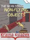 The Bean Straw: Non-Flying Objects David Hammons 9780615163499 Dmr Innovations