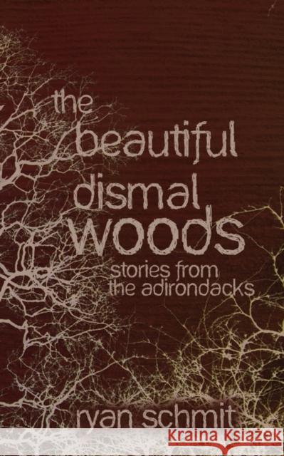 The Beautiful Dismal Woods: Short Stories from the Adirondacks Ryan Schmit 9780981980768 Clay Bridges Communications & Publishing - książka