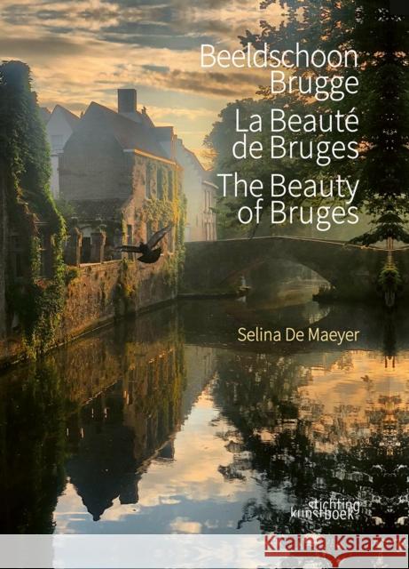 The Beauty of Bruges Selina De Maeyer 9789058567178 Stichting Kunstboek BVBA - książka