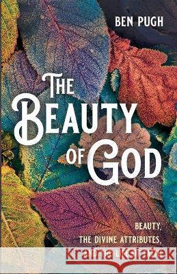 The Beauty of God Ben Pugh 9781666750669 Cascade Books - książka