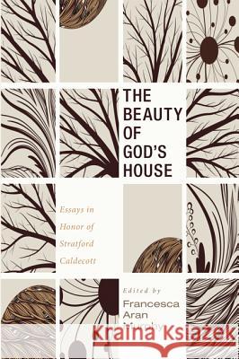 The Beauty of God's House Francesca Aran Murphy 9781620324363 Cascade Books - książka