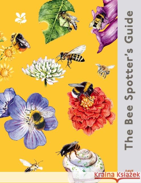 The Bee Spotter’s Guide Goulson, Dave 9780008781316 HarperCollins Publishers - książka