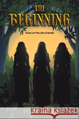 The Beginning Stuart Munro 9781037119903 Austin Macauley Publishers - książka