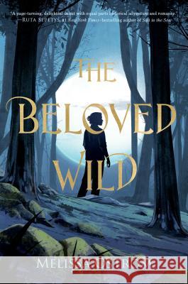 The Beloved Wild Melissa Ostrom 9781250132796 Feiwel & Friends - książka