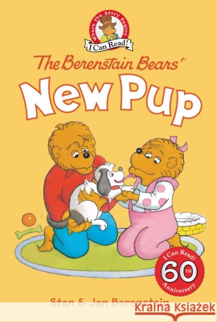 The Berenstain Bears' New Pup Jan Berenstain Stan Berenstain Jan Berenstain 9780062572721 HarperCollins - książka