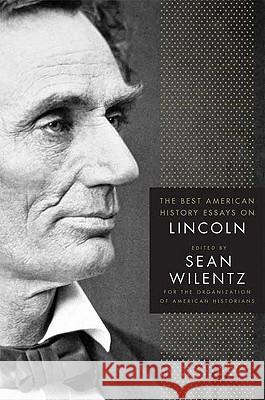 The Best American History Essays on Lincoln Organization of American Historians      Sean Wilentz 9780230609150 Palgrave MacMillan - książka