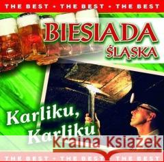 The best. Biesiada śląska CD  5906409161050 MTJ - książka