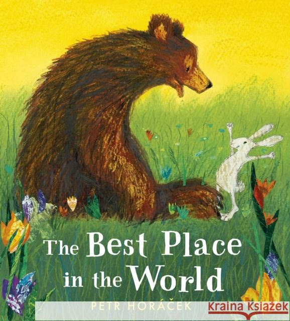 The Best Place in the World Petr Horacek 9781406388817 Walker Books Ltd - książka