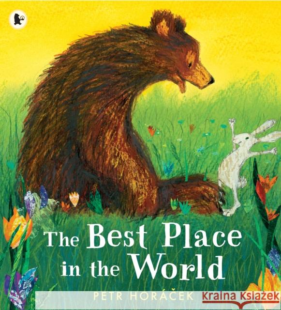 The Best Place in the World Petr Horacek 9781406394276 Walker Books Ltd - książka