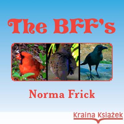 The BFF's: Imagine That Books Frick, Norma 9781477452646 Createspace - książka