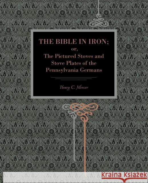 The Bible in Iron;: Or, the Pictured Stoves and Stove Plates of the Pennsylvania Germans Henry C. Mercer 9780271064536 Metalmark Books - książka