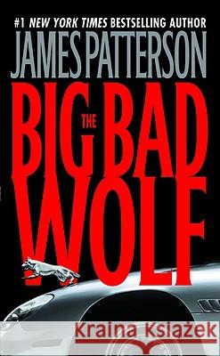 The Big Bad Wolf James Patterson 9780446610223 Warner Books - książka