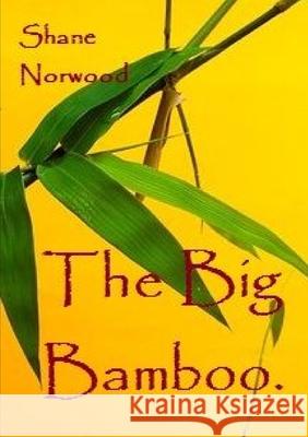 The Big Bamboo Shane Norwood 9780244359133 Lulu.com - książka