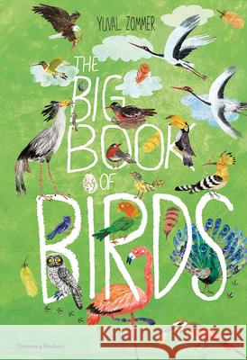 The Big Book of Birds Zommer, Yuval 9780500651513 Thames & Hudson Ltd - książka