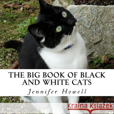 The Big Book of Black and White Cats: A text-free book for Seniors and Alzheimer's patients Howell, Jennifer 9781548591601 Createspace Independent Publishing Platform - książka