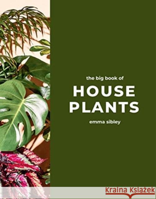 The Big Book of House Plants Emma Sibley 9781787139428 Quadrille Publishing Ltd - książka