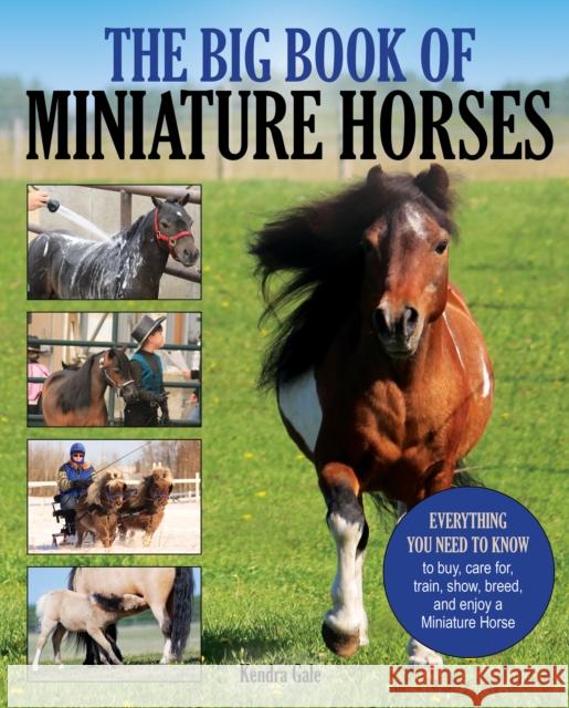 The Big Book of Miniature Horses: Everything You Need to Know to Buy, Care For, Train, Show, Breed, and Enjoy a Miniature Horse of Your Own Kendra Gale 9781570768200 Trafalgar Square - książka