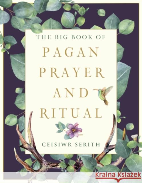 The Big Book of Pagan Prayer and Ritual Ceisiwr Serith 9781578636921 Weiser Books - książka