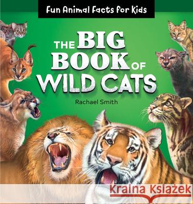 The Big Book of Wild Cats: Fun Animal Facts for Kids Rachael Smith 9781646110605 Rockridge Press - książka