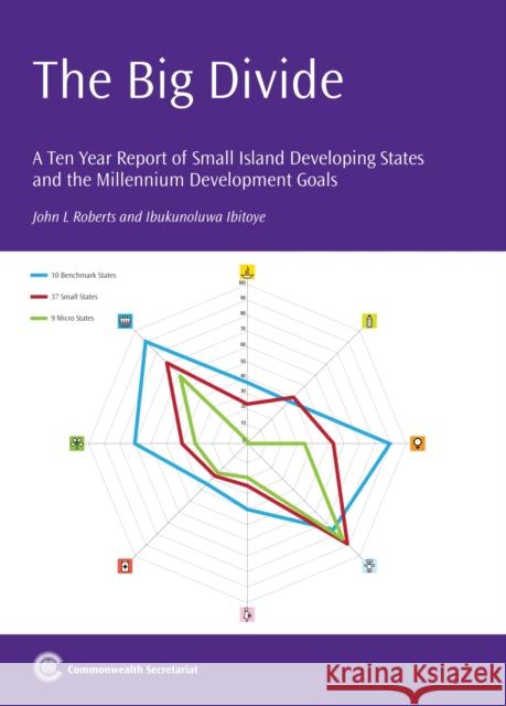 The Big Divide: A Ten Year Report on Small Island Developing States and the Millennium Development Goals John L Roberts, Ibukunoluwa Ibitoye 9781849290883 Commonwealth Secretariat - książka