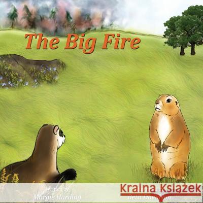 The Big Fire Margie Harding Beth Davidson 9781943871643 Painted Gate Publishing - książka