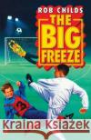 The Big Freeze Childs, Rob 9780552572019 Random House Children's Publishers UK