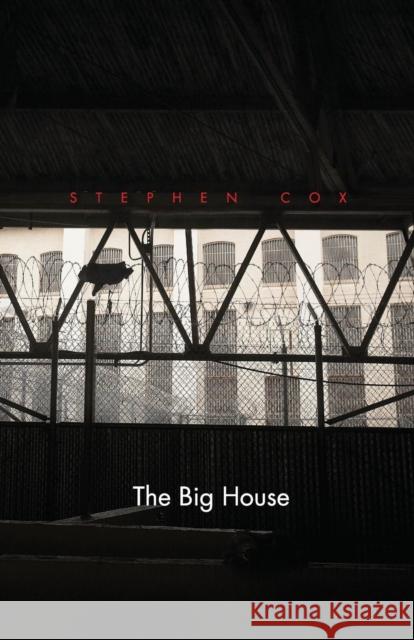 The Big House Cox, Stephen D. 9780300215083 Yale University Press - książka