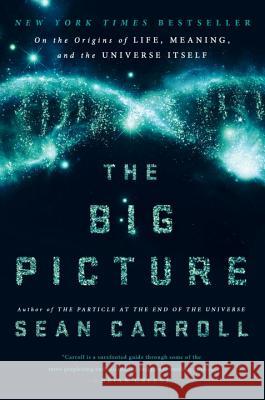 The Big Picture: On the Origins of Life, Meaning, and the Universe Itself Carroll, Sean 9780525954828 Dutton Books - książka