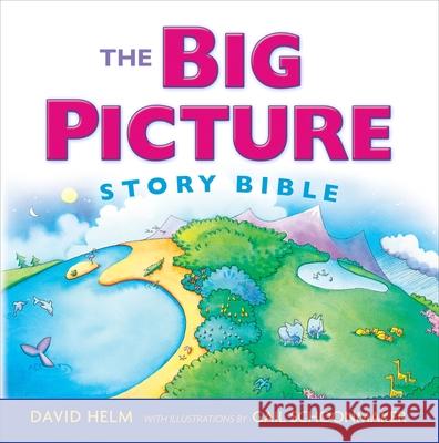 The Big Picture Story Bible David R. Helm 9781433543111 Crossway Books - książka