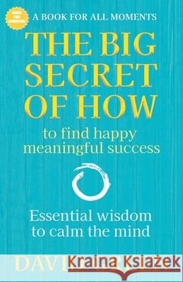 The Big Secret of How: To Find Happy Meaningful Success David Green 9780992648732 Masters & Son - książka