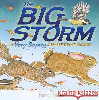 The Big Storm: A Very Soggy Counting Book Nancy Tafuri Nancy Tafuri 9781416967958 Simon & Schuster Children's Publishing - książka