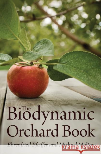 The Biodynamic Orchard Book Ehrenfried E. Pfeiffer, Michael Maltas 9781782500018 Floris Books - książka