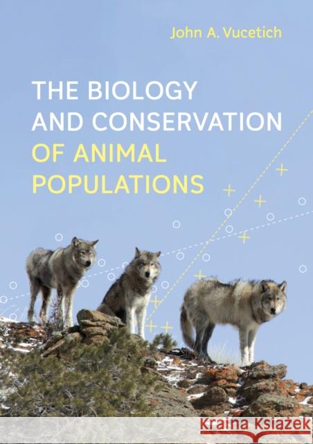 The Biology and Conservation of Animal Populations John A. Vucetich 9781421449173 Johns Hopkins University Press - książka
