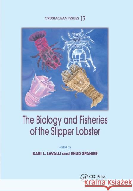 The Biology and Fisheries of the Slipper Lobster Kari L. Lavalli Ehud Spanier 9780367389529 CRC Press - książka