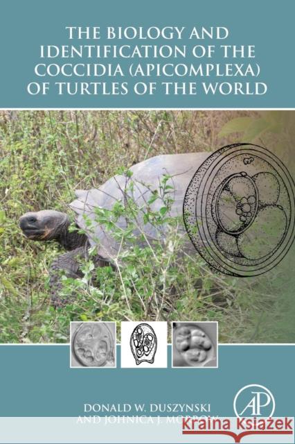 The Biology and Identification of the Coccidia (Apicomplexa) of Turtles of the World Donald Duszynski 9780128013670 ACADEMIC PRESS - książka