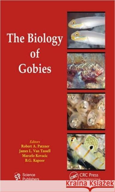 The Biology of Gobies Robert Patzner James L. Va Marcelo Kovacic 9781578084364 Science Publishers - książka