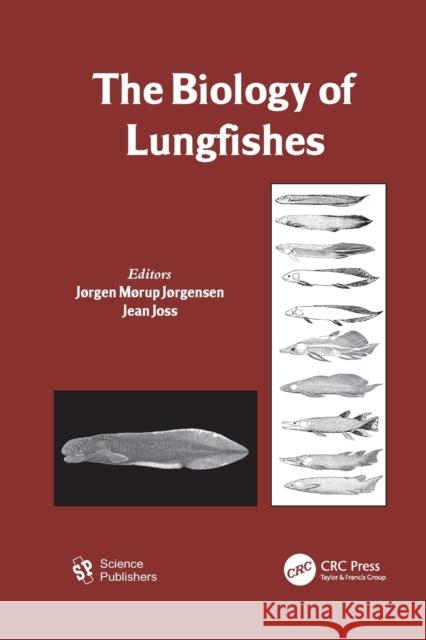 The Biology of Lungfishes  9781138114074  - książka