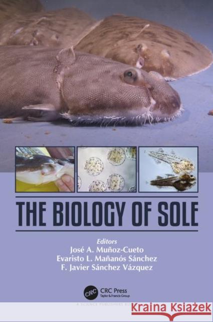 The Biology of Sole Jose a. Munoz-Cueto Evaristo L. Mananos Sanchez F. Javier Sanchez Vazquez 9781498727839 CRC Press - książka