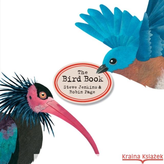 The Bird Book Steve Jenkins 9780358325697 HarperCollins Publishers Inc - książka